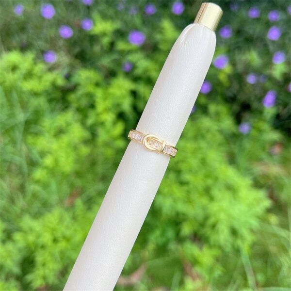 Anillo Hebilla